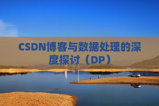 CSDN博客与数据处理的深度探讨（DP）